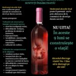 15. Flyer gravide alcool