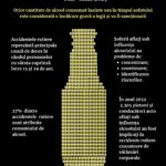 16. Flyer soferi alcool